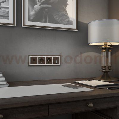 Накладка для розетки (бронзовый) W1179012 Werkel