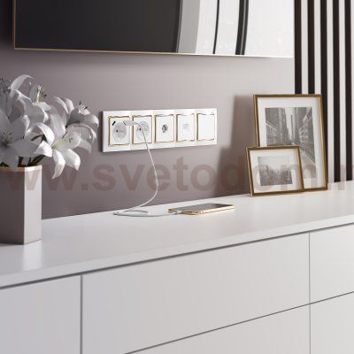 ТВ-розетка оконечная (белая) W1183001 Werkel