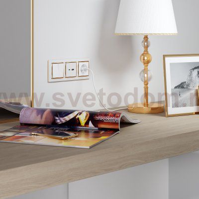 Выключатель  двухклавишный (белый) W1120001 Werkel