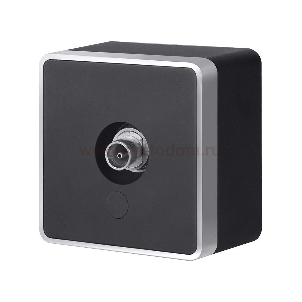 ТВ-розетка оконечная Gallant черный с серебром W5083034 W5083034