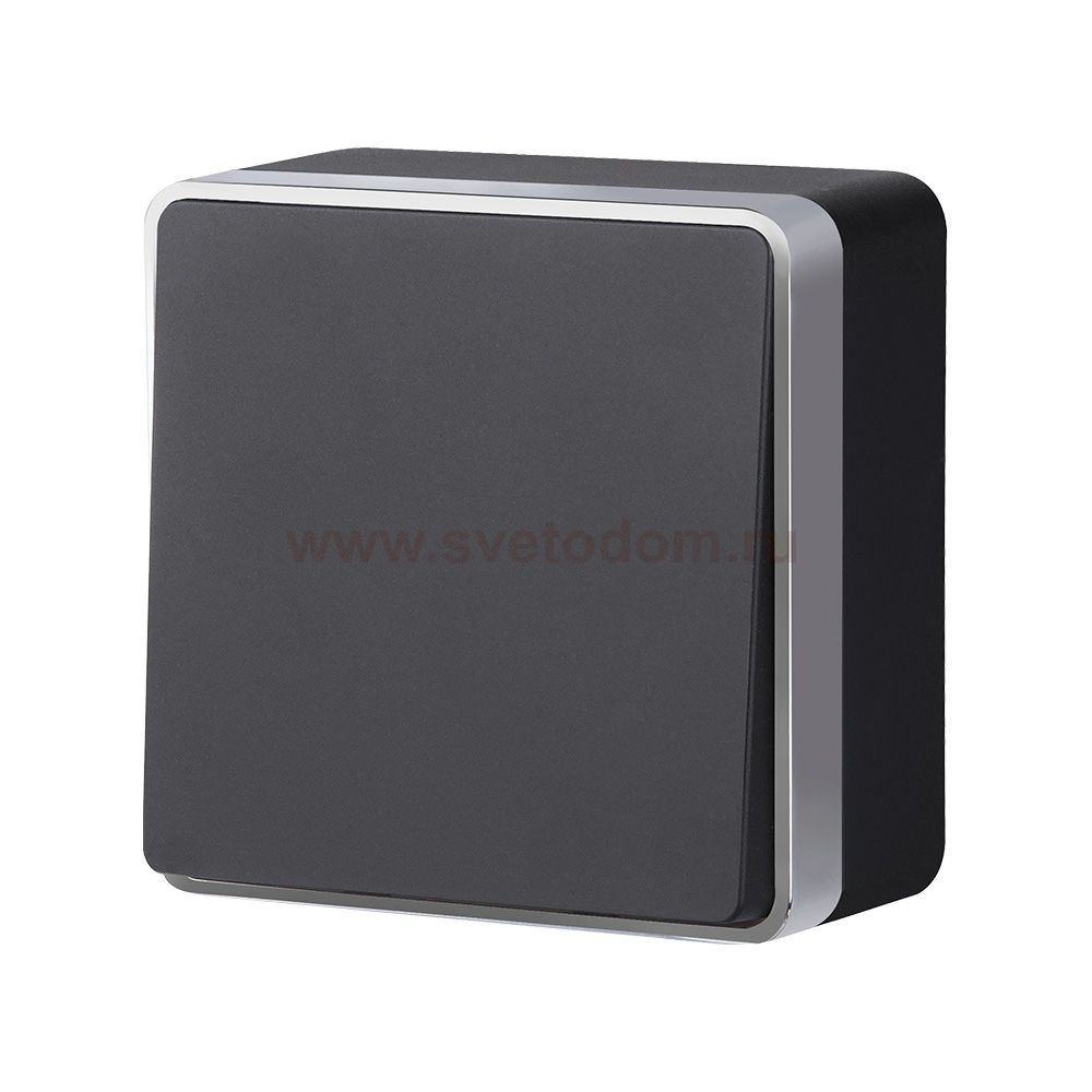 Выключатель одноклавишный Gallant черный с серебром W5010034 W5010034