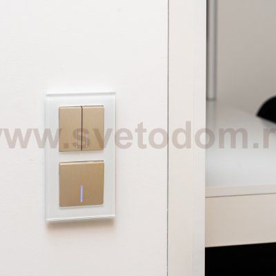 Рамка на 2 поста (белый,стекло) W0021101 Werkel