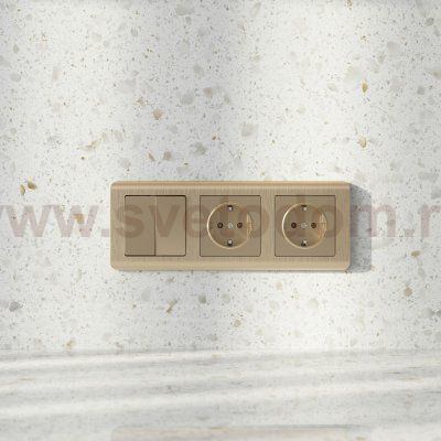 Рамка на 3 поста (шампань) W0032111 Werkel