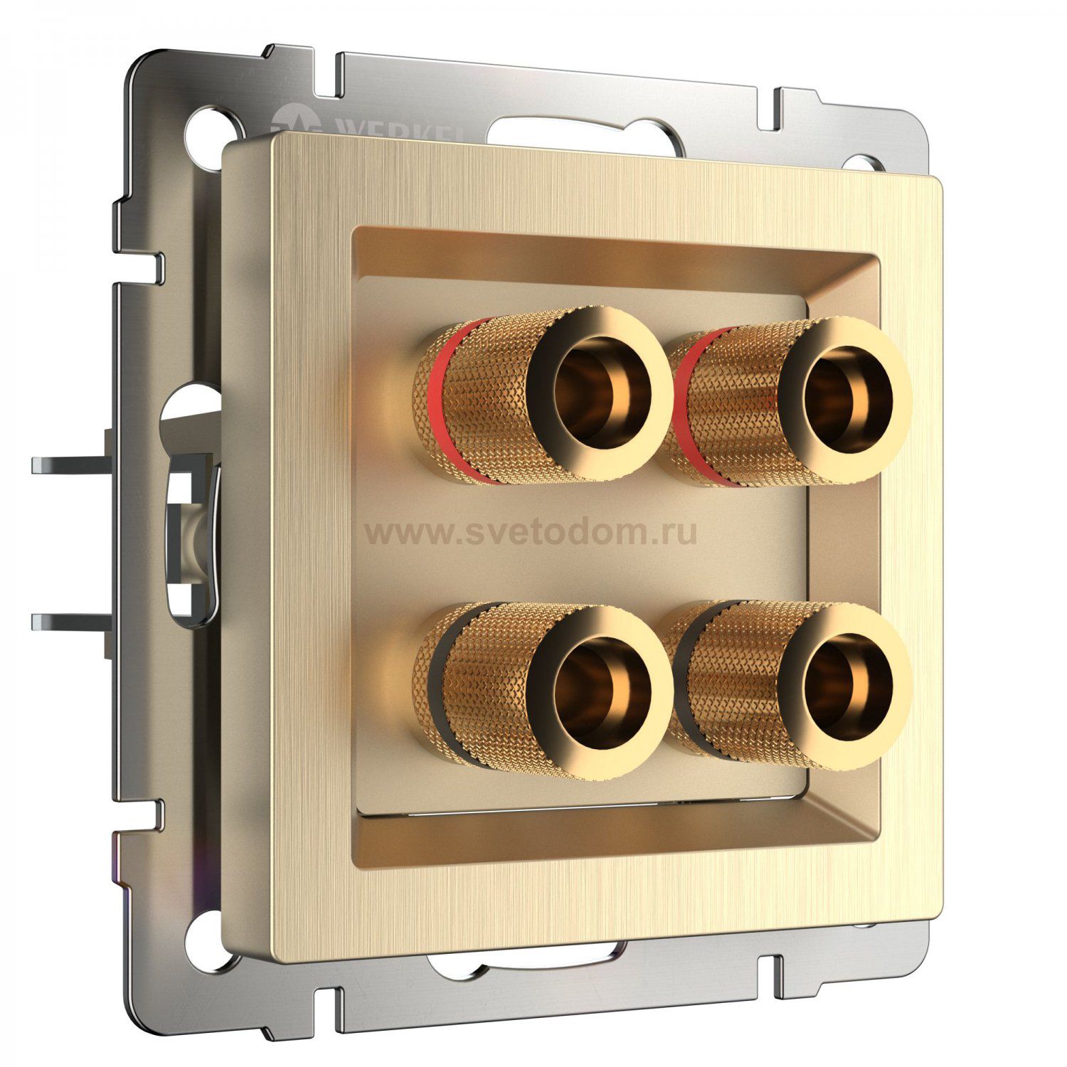 Акустическая розетка (шампань рифленый) W1185010 Werkel