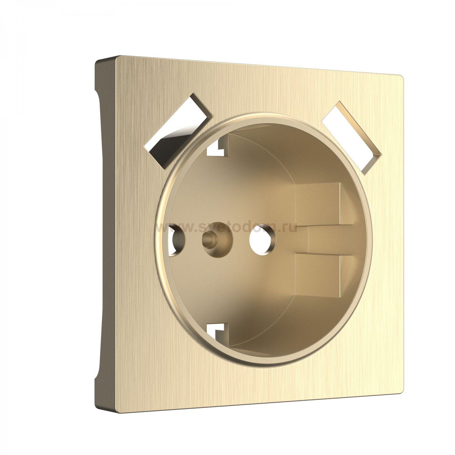 Накладка  для розетки USB (шампань рифленый) Werkel W1179510