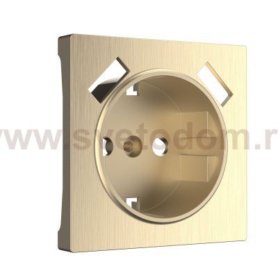 Накладка  для розетки USB (шампань рифленый) Werkel W1179510