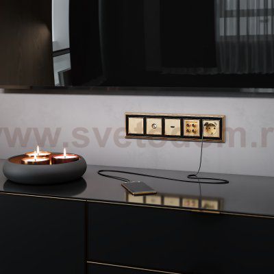 ТВ-розетка оконечная (шампань рифленый) W1183010 Werkel