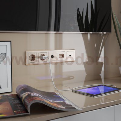 Розетка с заземлением (шампань рифленый) W1171010 Werkel