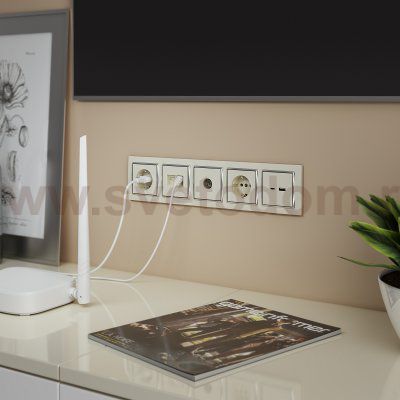 Розетка с заземлением и шторками (слоновая кость) W1171103 Werkel