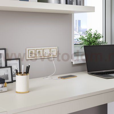 Розетка с заземлением и шторками (слоновая кость) W1171103 Werkel