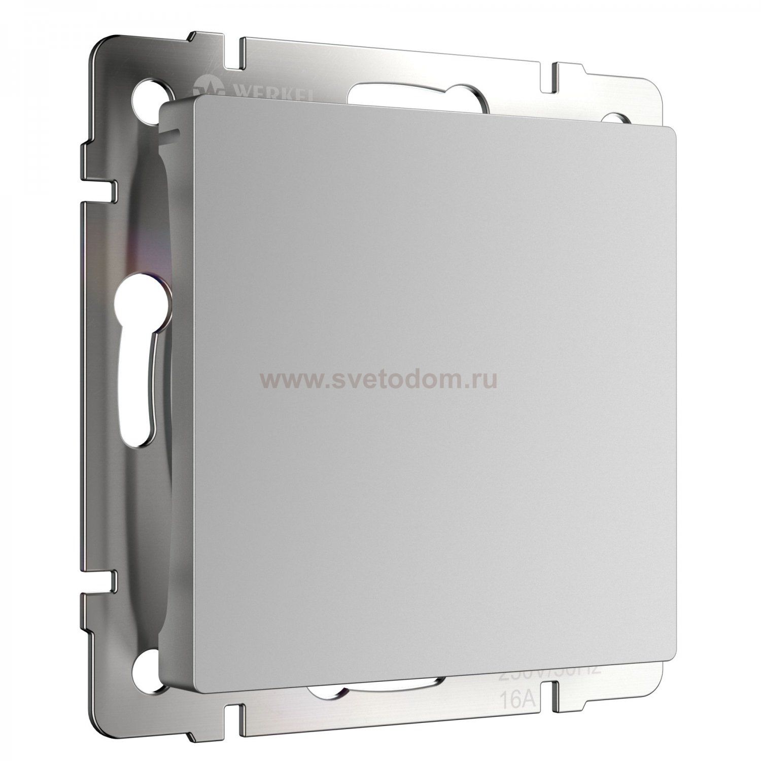 Заглушка (серебряный) W1159206 Werkel