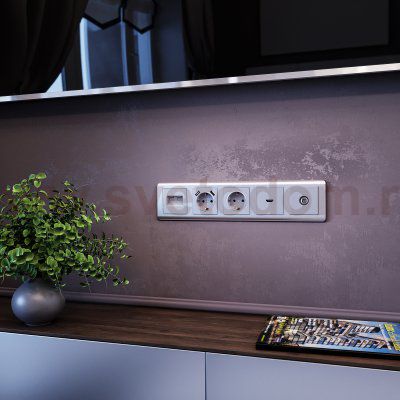 Розетка с заземлением, безвинтовой зажим (серебряный) W1171306 Werkel