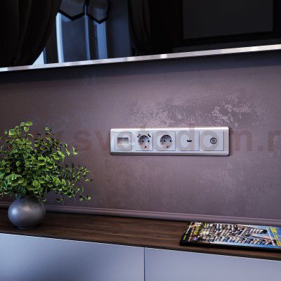 ТВ-розетка проходная (серебряный) Werkel W1184006