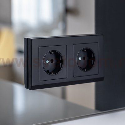 Розетка с заземлением (черный матовый) W1171008 Werkel