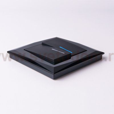 Выключатель двухклавишный с подсветкой (черный матовый) W1120108 Werkel