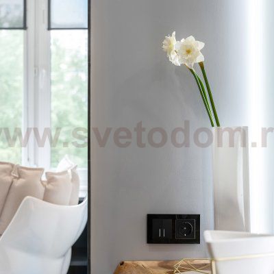 Выключатель двухклавишный с подсветкой (черный матовый) W1120108 Werkel