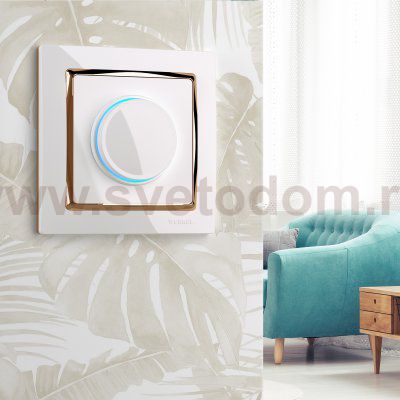 Рамка на 1 пост (белый/золото) W0011933 Werkel