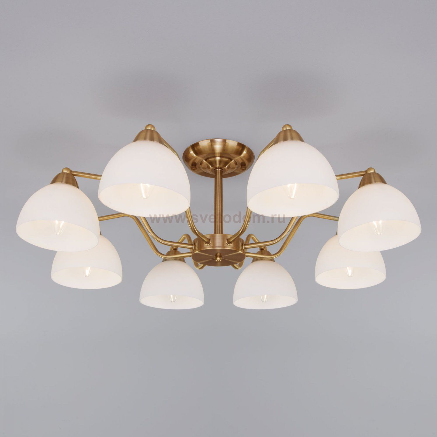 Потолочная люстра со стеклянными плафонами Eurosvet 30172/8 античная бронза Carissa