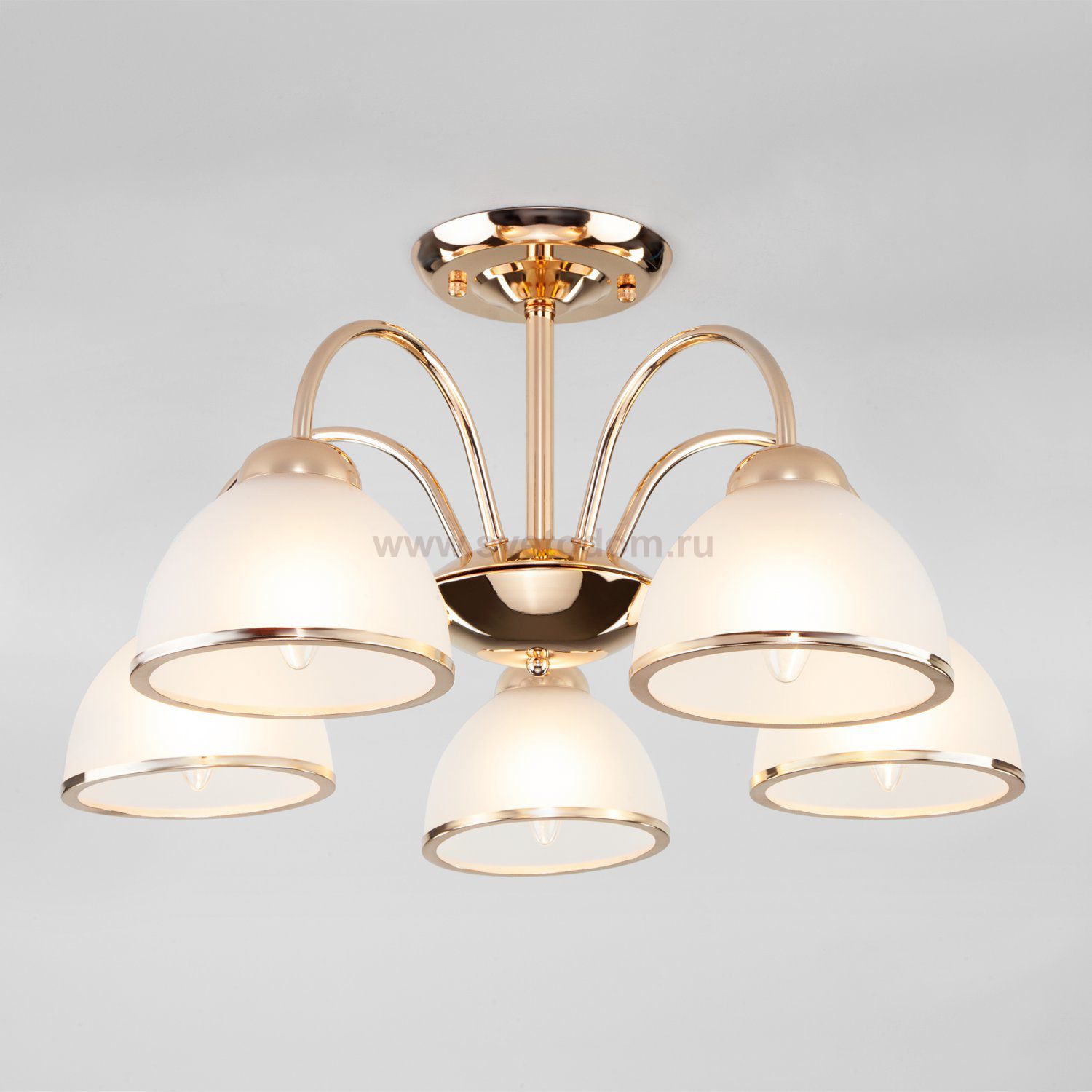 Потолочная люстра со стеклянными плафонами Eurosvet 30174/5 золото Shanon