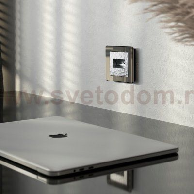 Накладка для двойной розетки Еthernet RJ-45 (серебряный) W1291106 Werkel