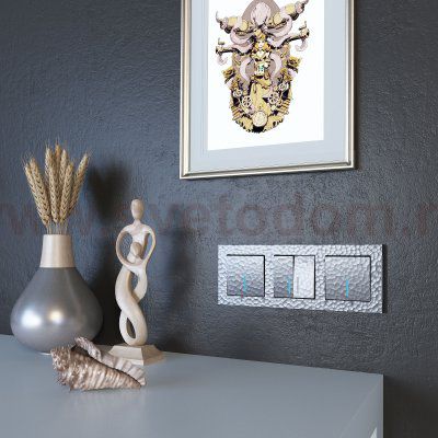 Выключатель одноклавишный с подсветкой (серебряный) W1210106 Werkel