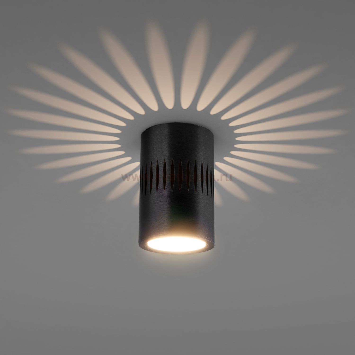 Накладной светодиодный светильник с подсветкой черный DLS026 Elektrostandard