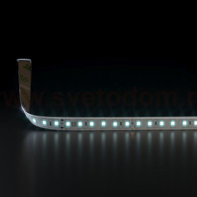 Светодиодная лента Лента светодиодная 24V 9,6W 120Led 2835 IP65 холодный белый, 5м Elektrostandard