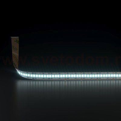 Светодиодная лента Лента светодиодная 24V 24W 240Led 2835 IP20 холодный белый, 5м Elektrostandard