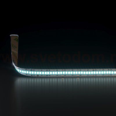 Светодиодная лента Лента светодиодная 24V 16W 240Led 2835 IP65 холодный белый, 5м Elektrostandard