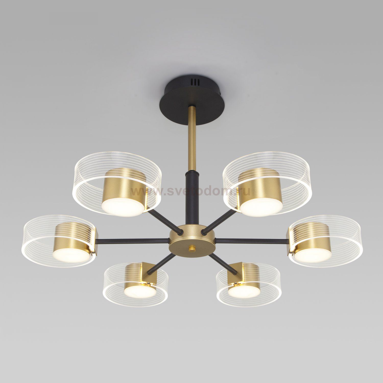Потолочный светодиодный светильник Eurosvet 90244/6 черный/золото