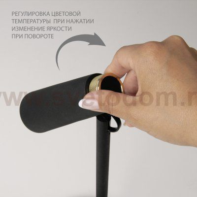 Напольный светодиодный светильник Eurosvet Joel 80430/1 черный/золото