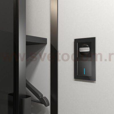 Датчик движения 500 Вт, двухпроводный (черный) Werkel W1155108