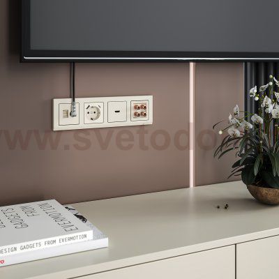 Розетка ТВ+Ethernet RJ-45 6 cat.(слоновая кость) Werkel W1181303