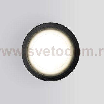 Уличный потолочный светильник Light 2101 IP65 35128/H серый Elektrostandard