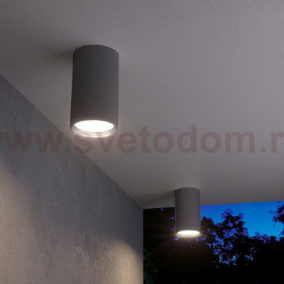 Уличный потолочный светильник Light 2101 IP65 35128/H серый Elektrostandard