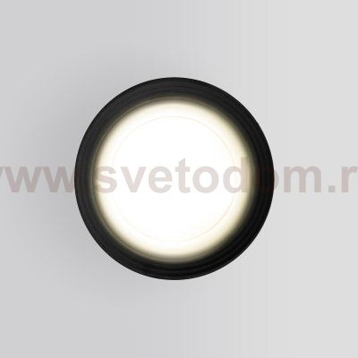 Уличный потолочный светильник Light 2101 IP65 35128/H черный Elektrostandard