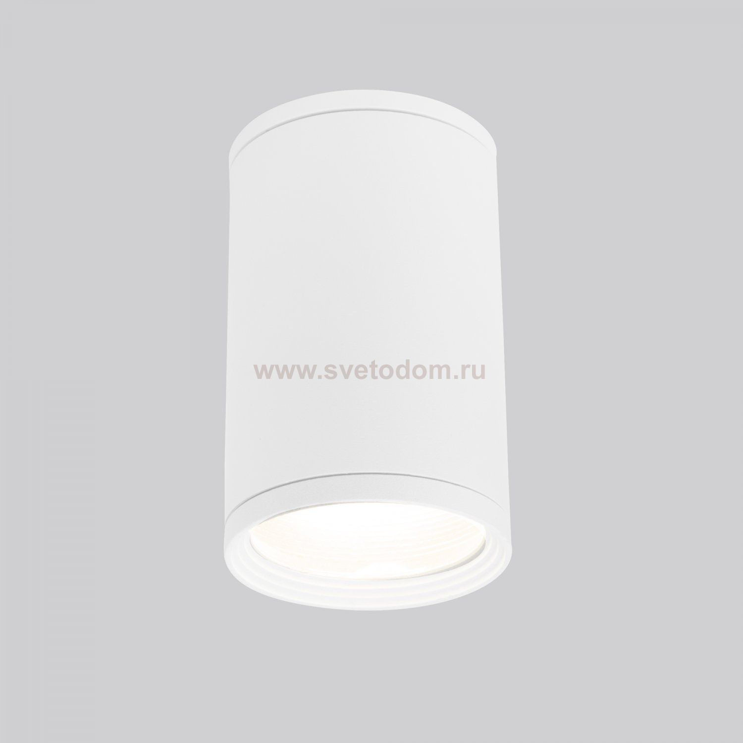 Уличный потолочный светильник Light 2101 IP65 35128/H белый Elektrostandard