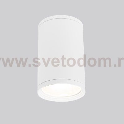 Уличный потолочный светильник Light 2101 IP65 35128/H белый Elektrostandard