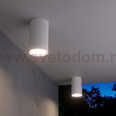 Уличный потолочный светильник Light 2101 IP65 35128/H белый Elektrostandard