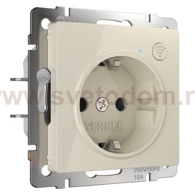 Розетка Wi-Fi (слоновая кость) Werkel W1171603