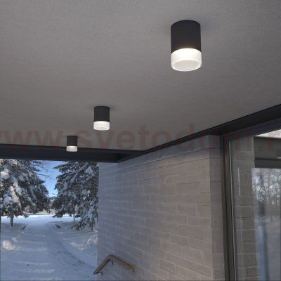 Уличный потолочный светильник Light LED 2107 IP54 35140/H черный Elektrostandard
