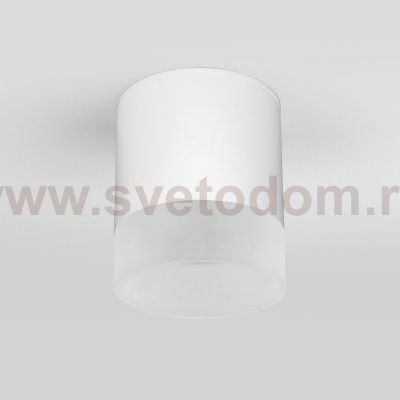 Уличный потолочный светильник Light LED 2107 IP54 35140/H белый Elektrostandard
