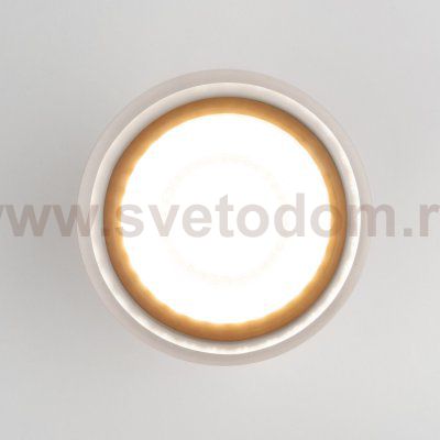 Уличный потолочный светильник Light LED 2107 IP54 35140/H белый Elektrostandard