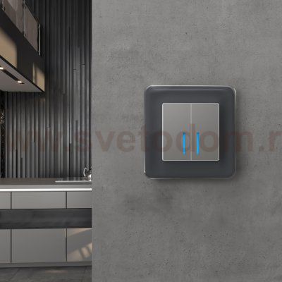 Рамка на 1 пост Elite (графит, стекло) Werkel W0012440