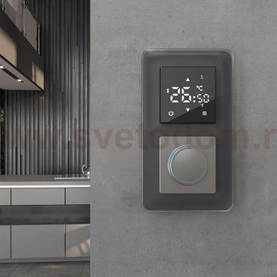 Рамка на 2 поста Elite (графит, стекло) Werkel W0022440
