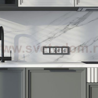 Рамка на 4 поста Elite (графит, стекло) Werkel W0042440
