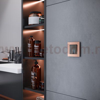 Рамка на 1 пост Aluminium (бронза) Werkel W0011712