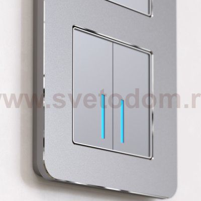 Рамка на 2 поста Platinum (алюминий) Werkel W0022606