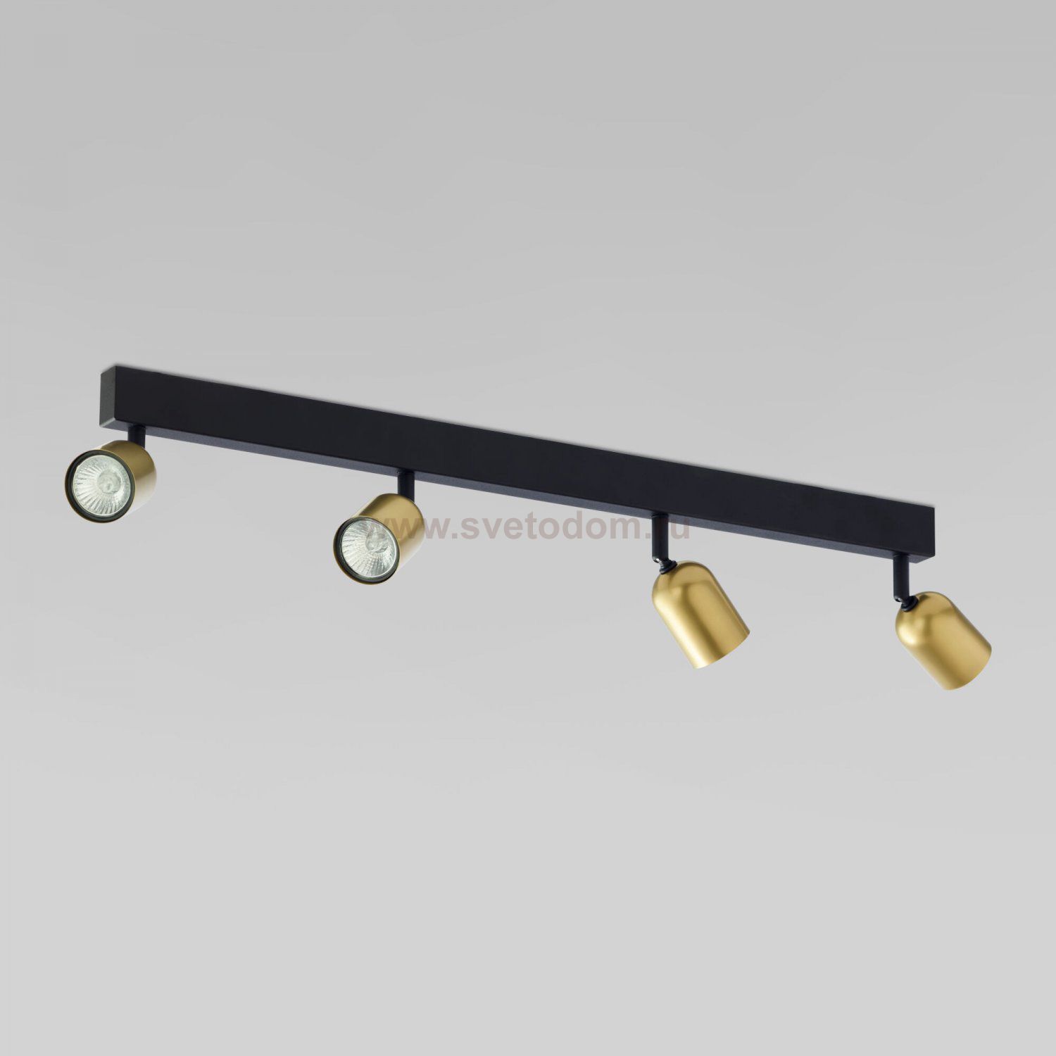 Потолочный светильник 1021 Top Black Gold TK Lighting