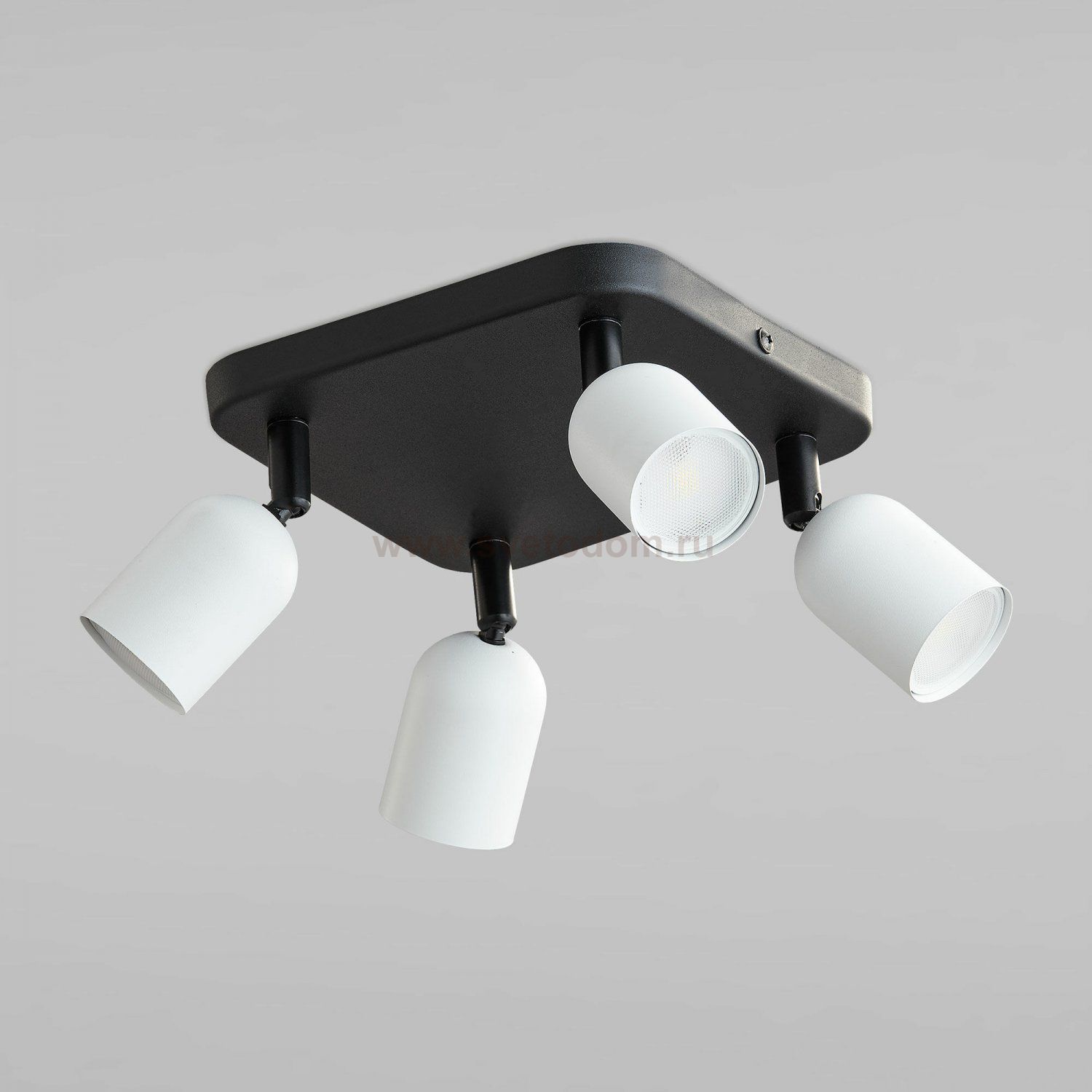 Потолочный светильник 6269 Top Black White TK Lighting